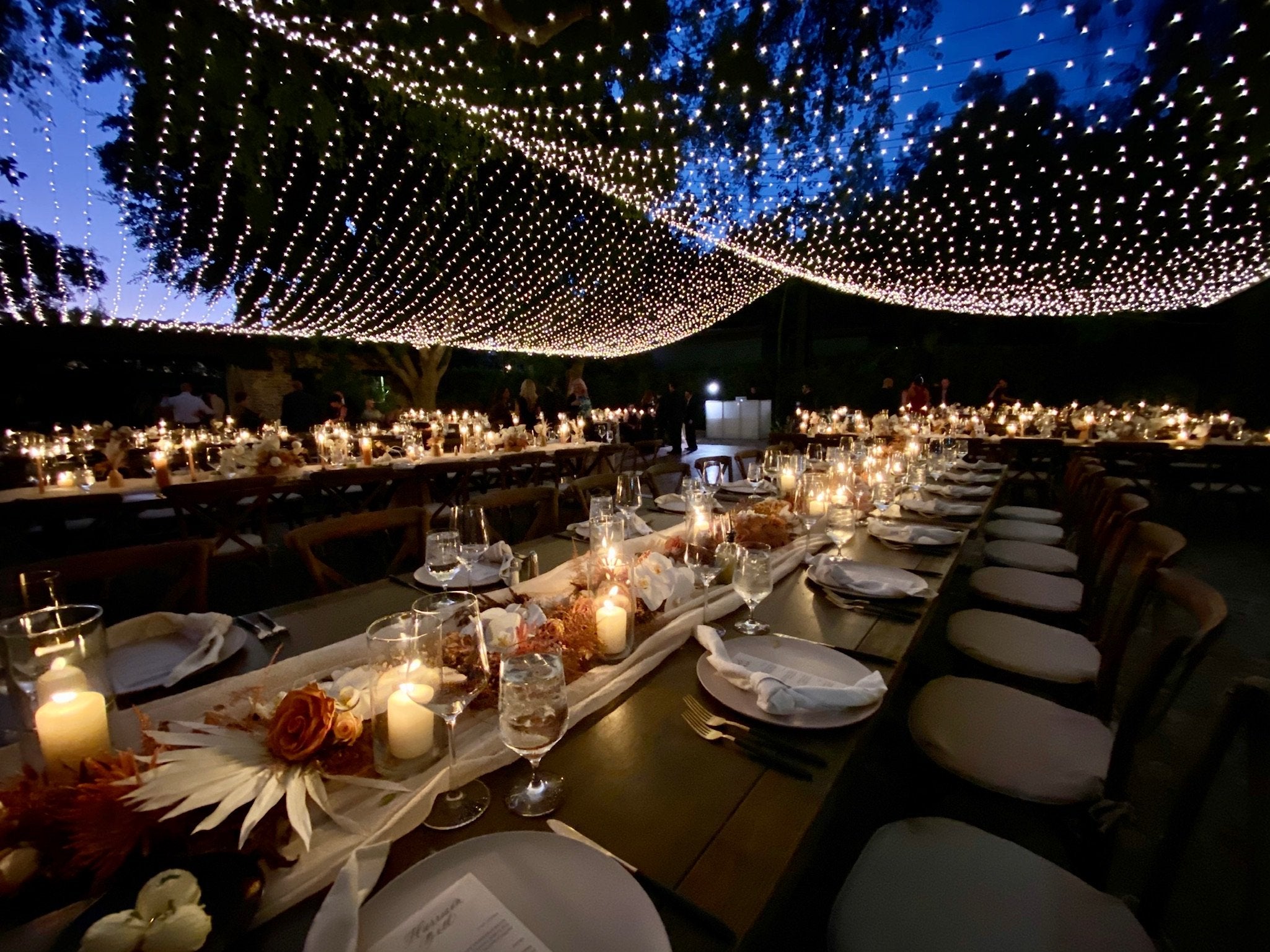 Twinkle Light Canopy