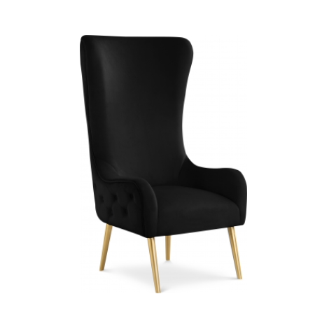 Black Windsor Wingback
