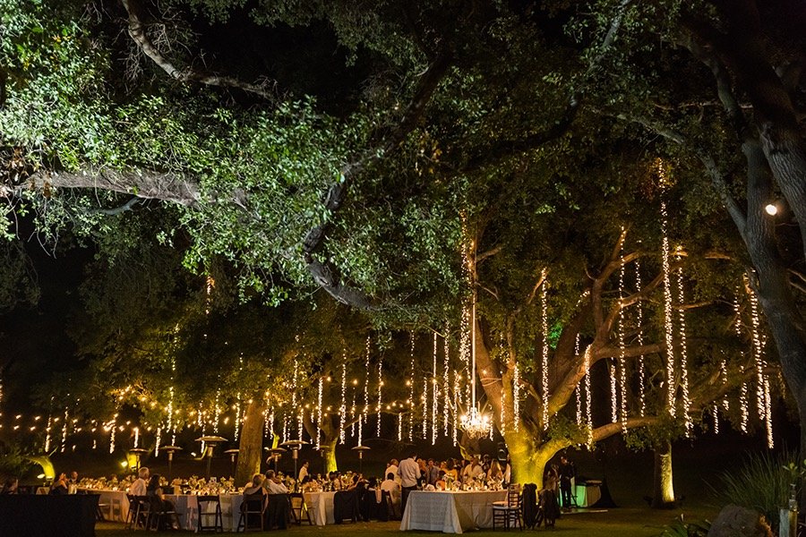 Braided String Lights