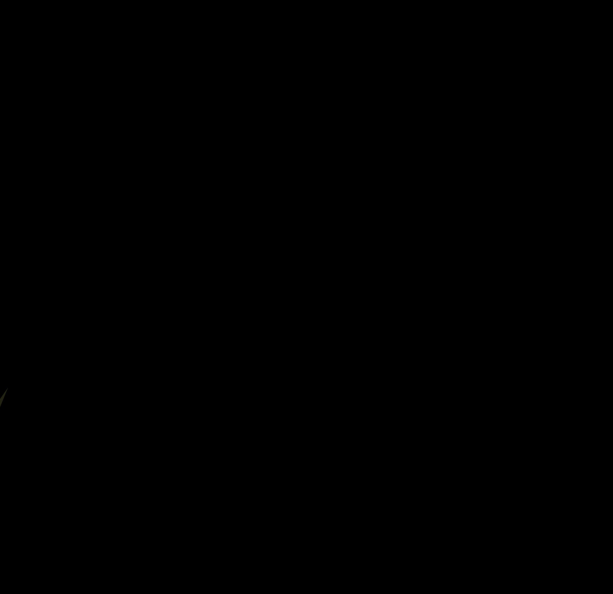 Black / Star Silver