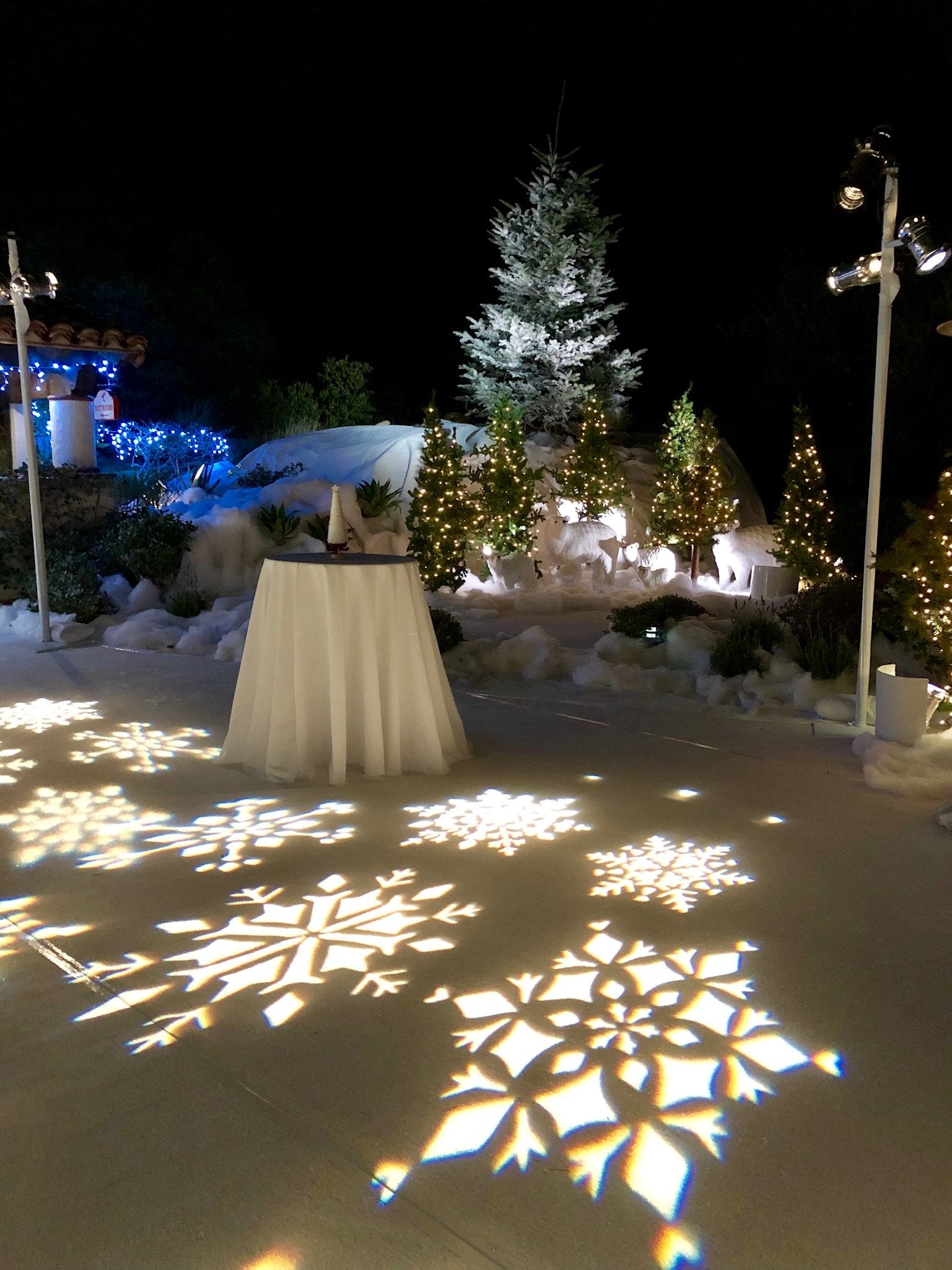 Gobo Lights